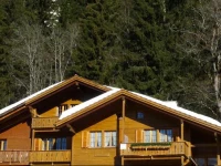 Chalet Waldborthus