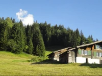 Chalet Aelpli Bed and Breakfast