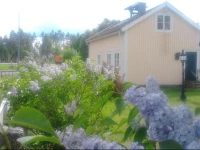 Sonarps Bed and Breakfast