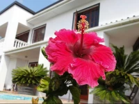 Helderberg Guesthouse