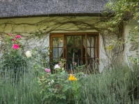 Grace Guest House 4*