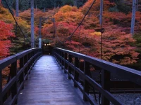 Momijiya Bekkan Kawa No Iori Ryokan