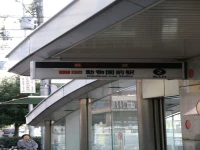 Guest House Social House