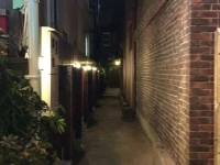 Fogainn shinsaibashi