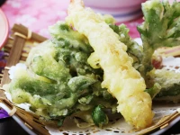 Akasawa Onsen Ryokan