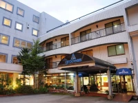 Hotel Grace Hakuba 3*