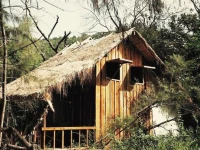 Robinson Bungalows 2*