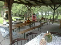 Napraforgo Vendeghaz