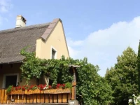 Andras Nadfedeles Vendeghaz