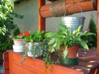 Cseresznyeskert Vendeghaz