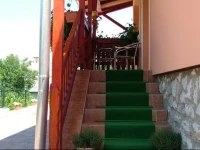 Amarillisz Vendeghaz