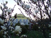 Kohari Pinceszet Udulohaz