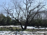 Tarnegol Haaravot Guesthouse