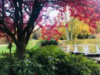 Dom Nad Potokiem Borszowka