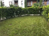 Nadmorski Dwor Przy Parku