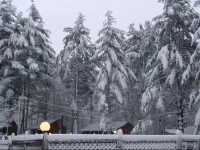 Sun Valley Cottages 3*