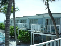 Coquina on the Beach