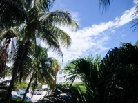 South Beach Miami Servirents