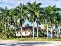 La Palma at Bonita Shores