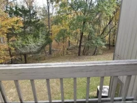 Lovers at Intimate View