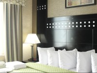 Rodeway Inn Bronx Zoo 2*