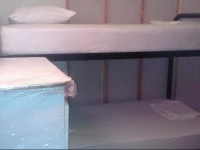 Classic Brownestone Homestel - Kosciuszko Street