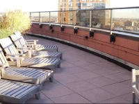 The Once In A Lifetime