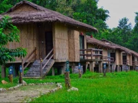 Temple Tiger Green Jungle Resort