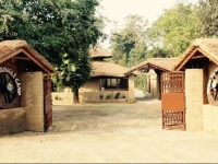 River View Jungle Camp