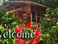 Monkey Tree Retreat by the Sea