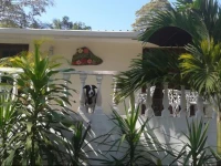 Hibiscus House Bed and Breakfast 4*