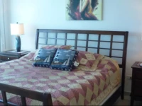 Gorgeous Condo Playa Serena