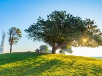 Grand Murwab City Center