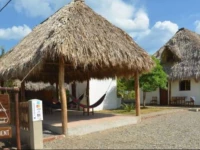 Wild Waves Surf-House