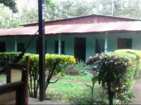 Monkeys Island Ometepe