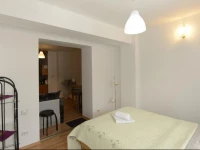 Ski Apartament in Mountains