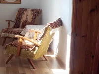 Garofita Pietrei Craiului