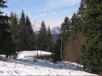 Complex Panoramic Holiday Predeal