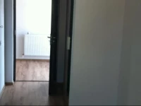 Casa de Vacanta la Pitic