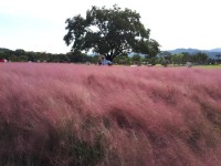 Doran Doran Guesthouse