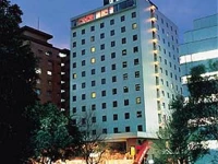Shinjuku New City Hotel 4*