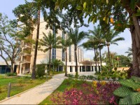 Ledger Plaza Maya Maya