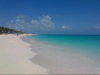 Silver Palm Beach House