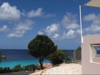 Coral Estate Studios