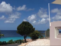 Coral Estate Studios