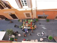 Luxury City Center Apartment