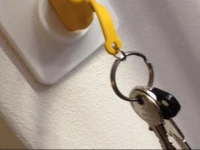 Il Basilico di San Pietro