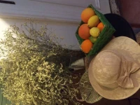 Campo de Fiori Residence