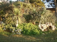 Villa Santa Margherita