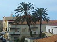 Piccola-Deliziosa Small-Delicious